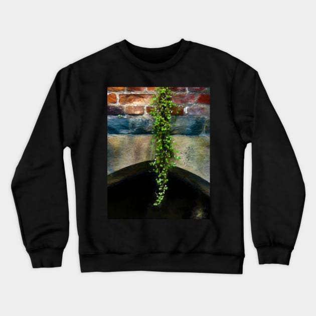 Hanging Down Crewneck Sweatshirt by PictureNZ